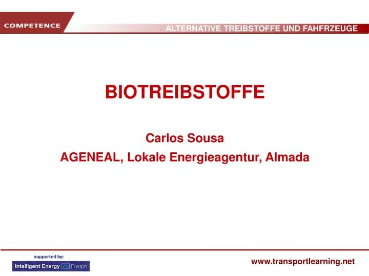 biotreibstoffe carlos sousa ageneal lokale energieagentur almada