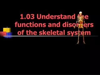 1.03 Understand the functions and disorders of the skeletal system