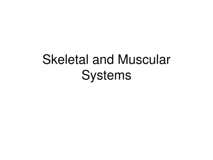 skeletal and muscular systems