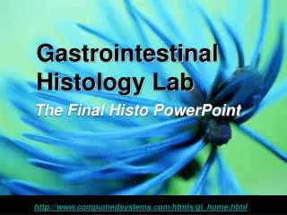 Gastrointestinal Histology Lab