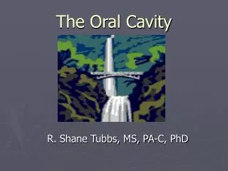 The Oral Cavity