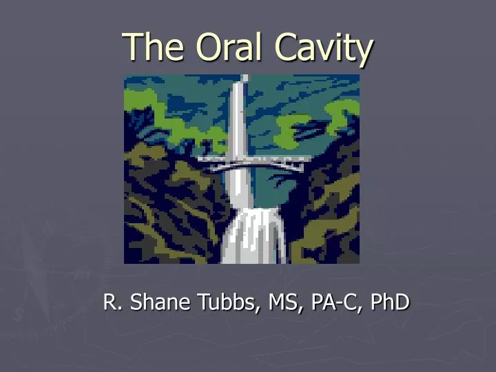 the oral cavity