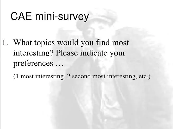 cae mini survey