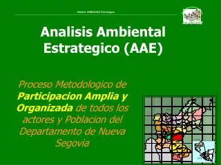 Analisis Ambiental Estrategico (AAE)