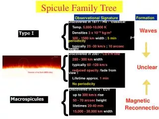 Spicule Family Tree