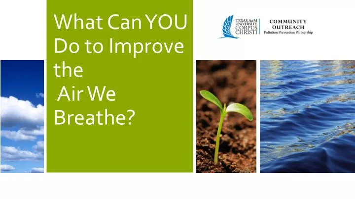 what can you do to improve the air we breathe
