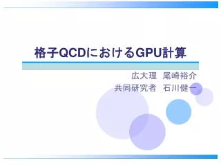 格子 QCD における GPU 計算