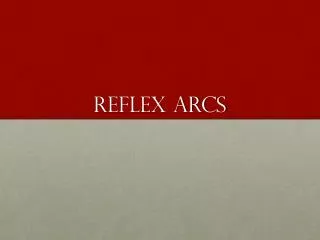 REFLEX ARCS