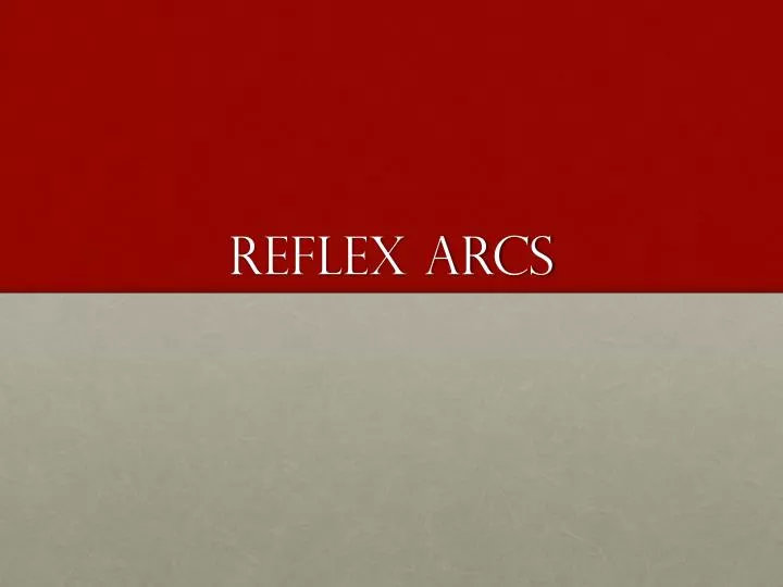 reflex arcs