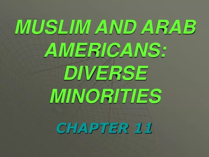 muslim and arab americans diverse minorities