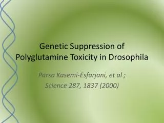 Genetic Suppression of Polyglutamine Toxicity in Drosophila