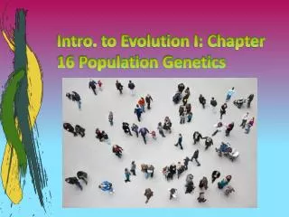 Intro. to Evolution I: Chapter 16 Population Genetics