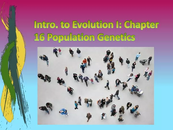 intro to evolution i chapter 16 population genetics