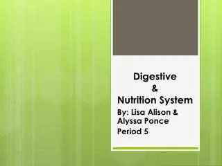 Digestive &amp; Nutrition System