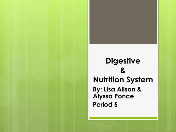 digestive nutrition system