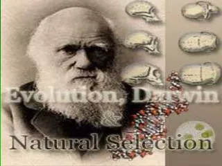 Charles Darwin (1809-1882) Sailed around the world 1831-1836