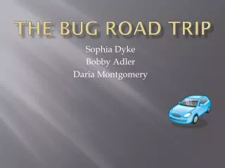 The Bug road trip