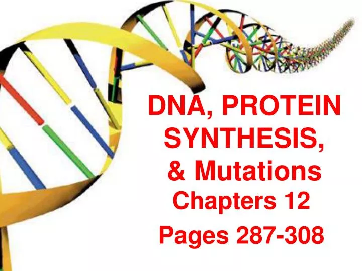 dna protein synthesis mutations