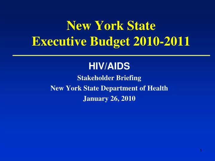 new york state executive budget 2010 2011