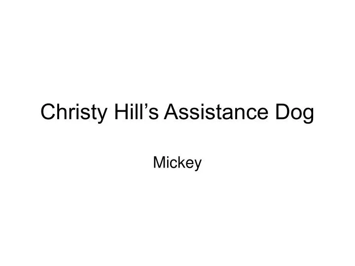 christy hill s assistance dog