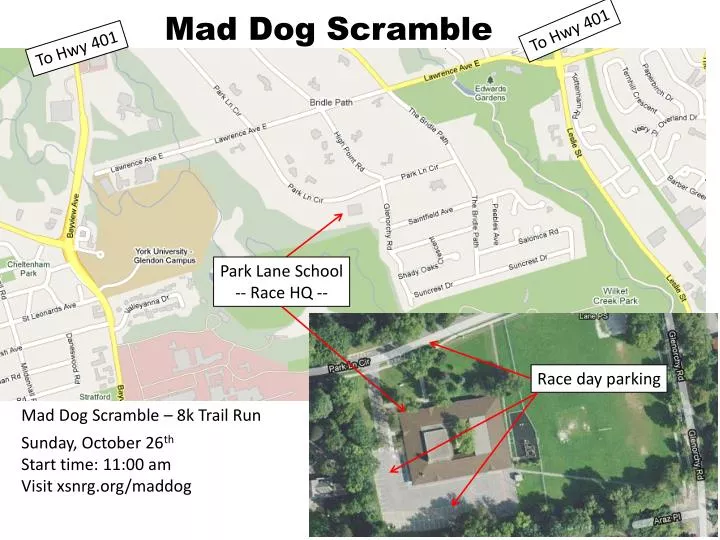 mad dog scramble