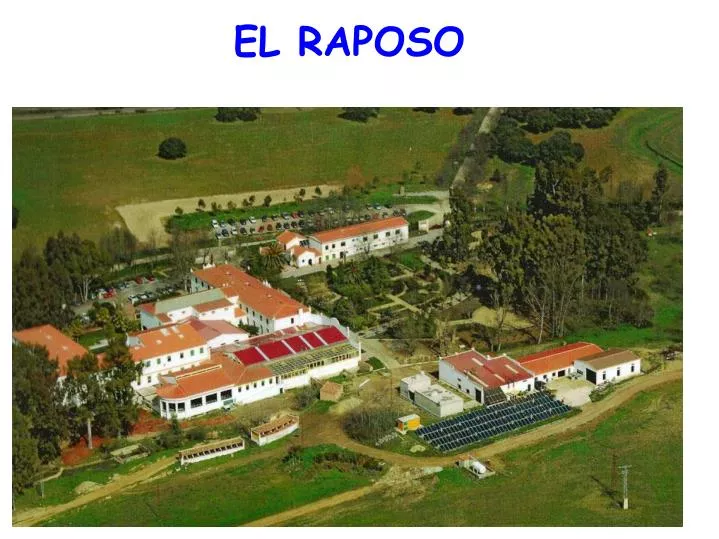 el raposo