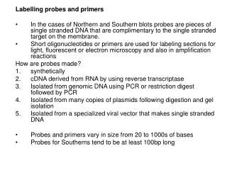 Labelling probes and primers