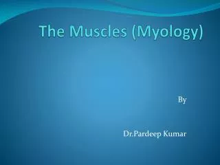 The Muscles ( Myology )