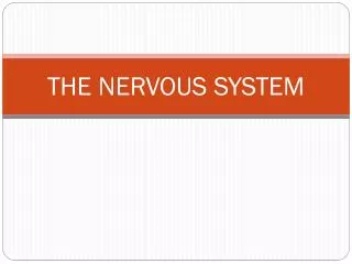 THE NERVOUS SYSTEM
