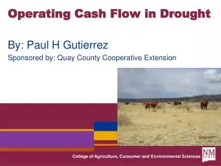 Operating Cash Flow in Drought