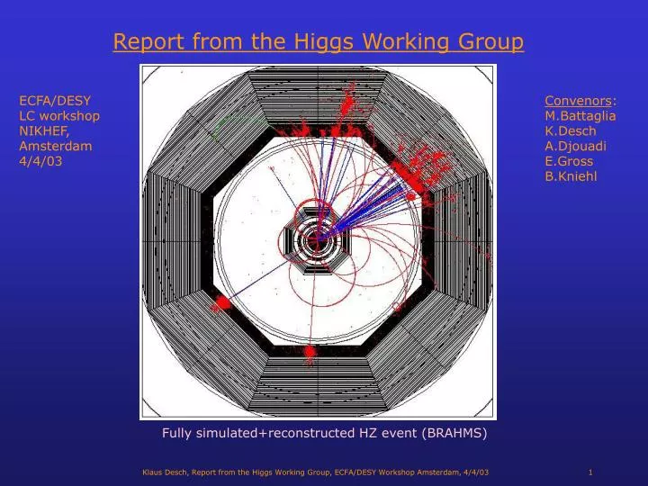report from the higgs working group
