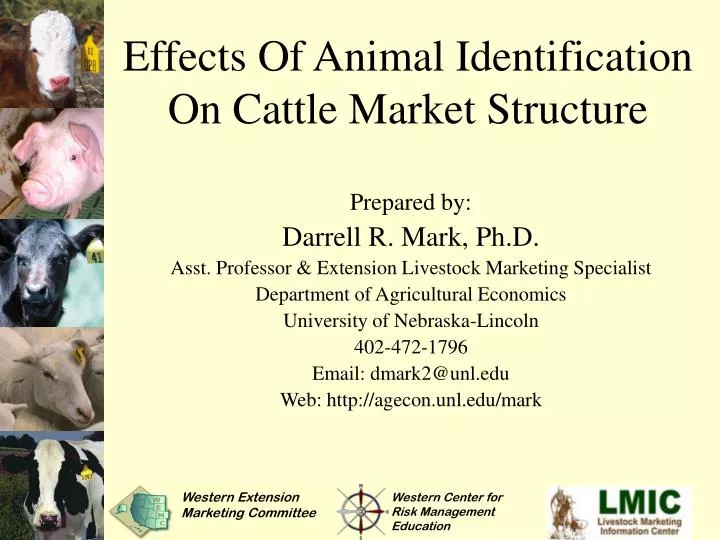 effects of animal identification on cattle market structure