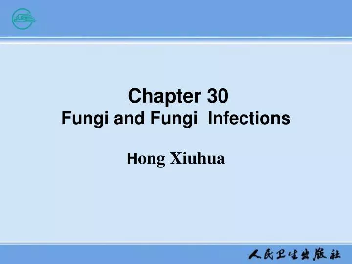 chapter 30 fungi and fungi infections h ong xiuhua