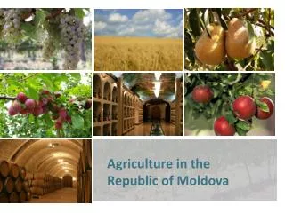 Agriculture in the Republic of Moldova