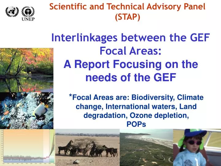 interlinkages between the gef focal areas a report focusing on the needs of the gef