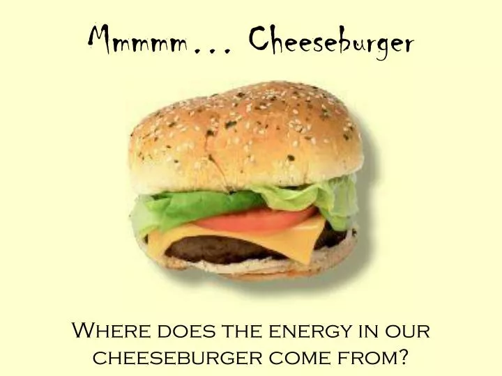 mmmmm cheeseburger