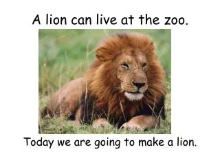 A lion can live at the zoo.