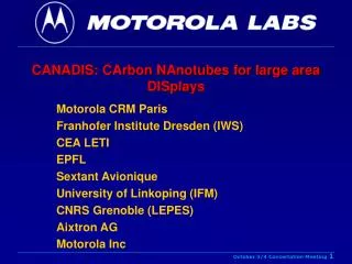 CANADIS: CArbon NAnotubes for large area DISplays