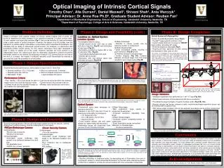Optical Imaging of Intrinsic Cortical Signals