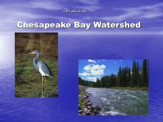 All about the….. Chesapeake Bay Watershed