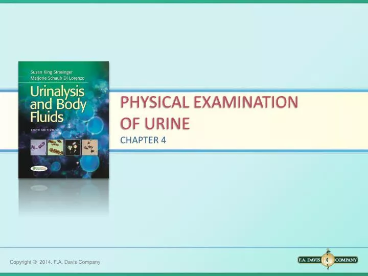 physical examination of urine
