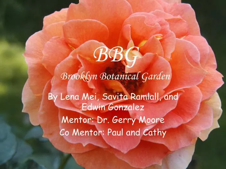 bbg brooklyn botanical garden
