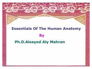 Essentials Of The Human Anatomy By Ph.D.Alsayed Aly Mahran