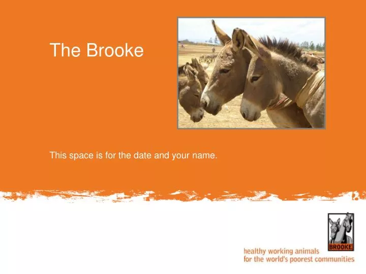 the brooke