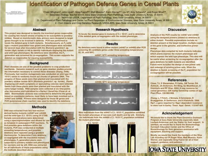 identification of pathogen defense genes in cereal plants