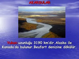 AKARSULAR Yukon: uzunluğu 3190 km’dir.Alaska ile Kanada’da bulunur.Beufort denizine dökülür.