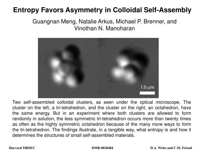 entropy favors asymmetry in colloidal self assembly