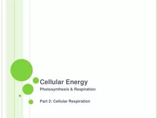 Cellular Energy