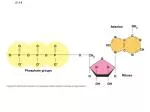 LE 8-8 - slide 1