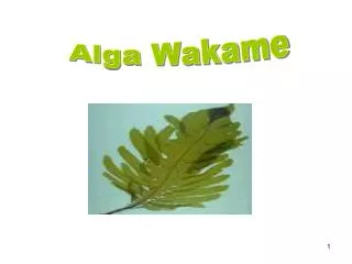 Alga Wakame